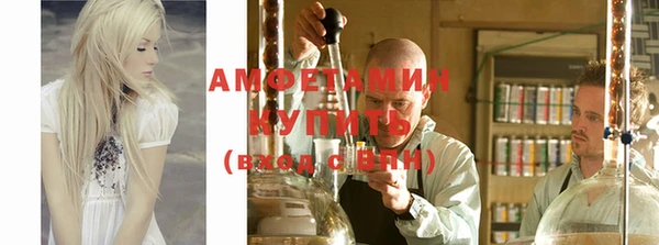 прущие грибы Баксан