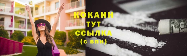 прущие грибы Балахна