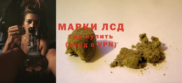 прущие грибы Баксан