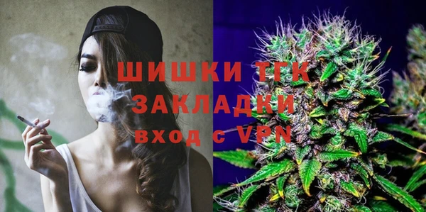 шишки Балабаново