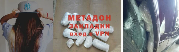 прущие грибы Балахна