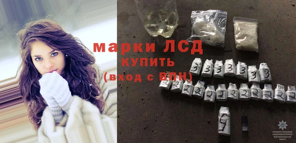 прущие грибы Балахна