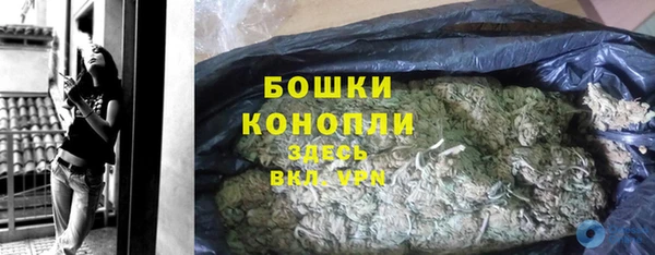 прущие грибы Баксан