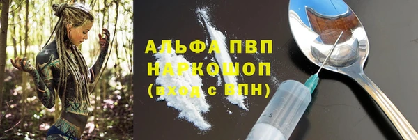 прущие грибы Балахна