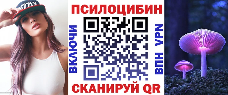 магазин продажи   Омск  Псилоцибиновые грибы Psilocybe 